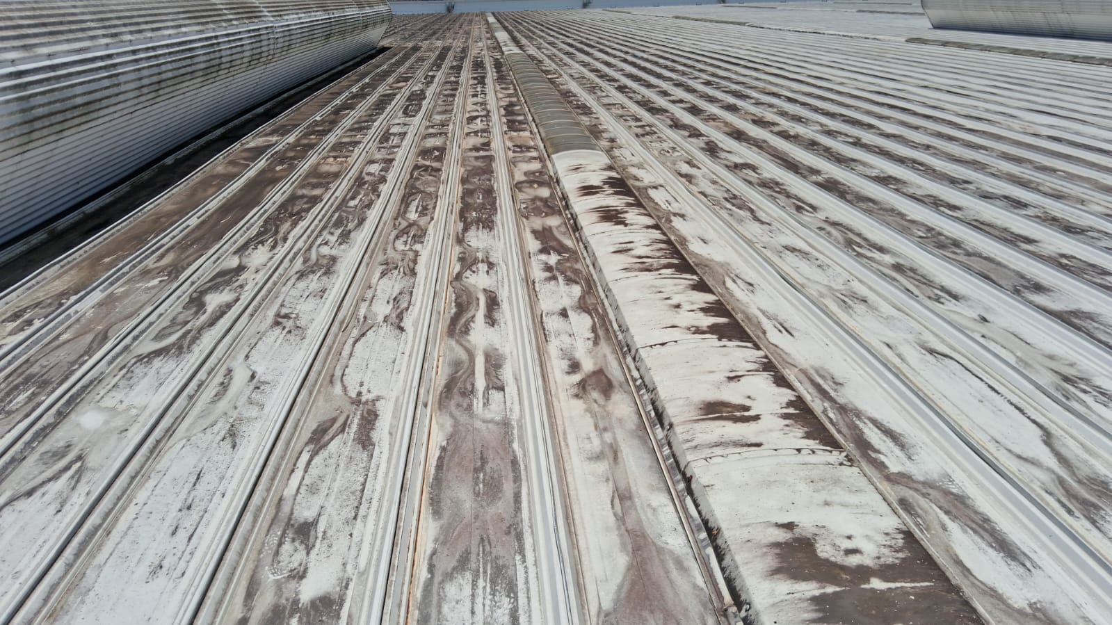 Cobertura industrial antes do retrofit — telhas oxidadas
